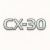CX-30 (0)